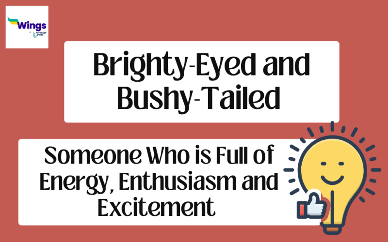 Brighty-Eyed and Bushy-Tailed Meaning