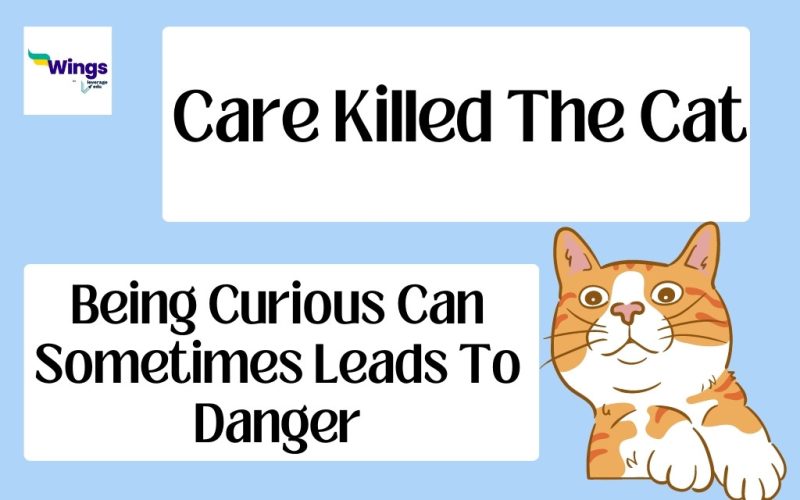 Care Killed The Cat Idiom