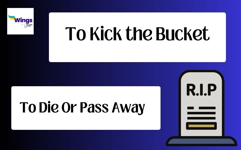 To Kick The Bucket Meaning, Usage With Example Leverage Edu