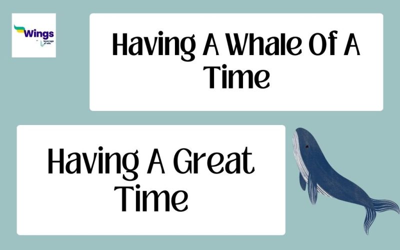 Having A Whale of Time