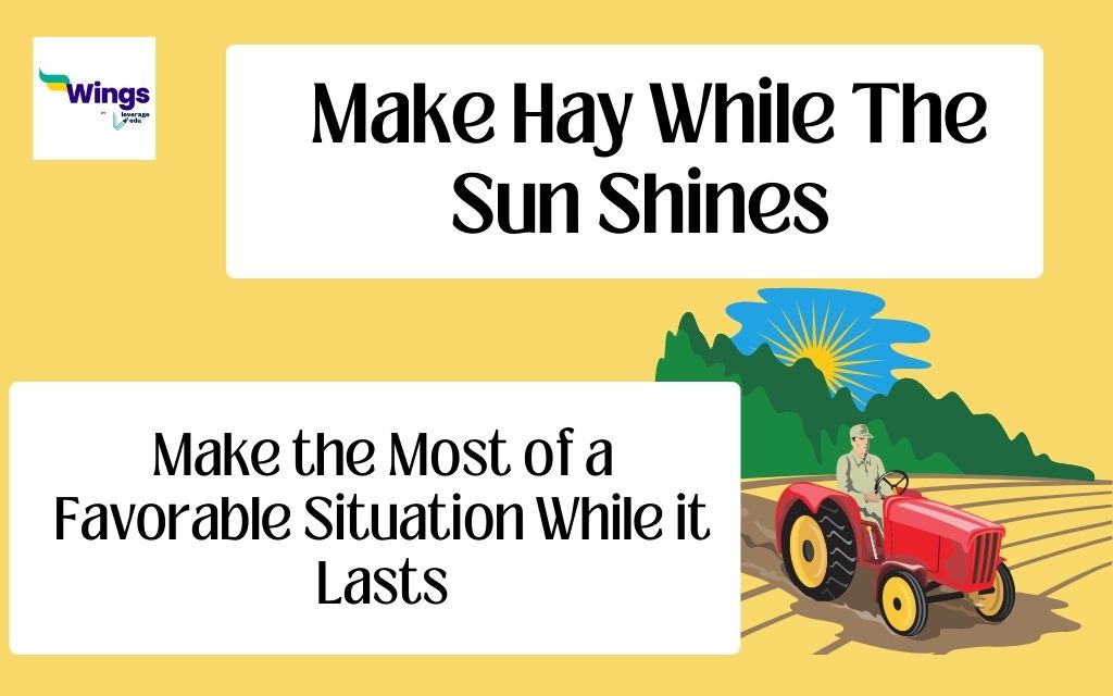 narrative essay on make hay while the sunshine