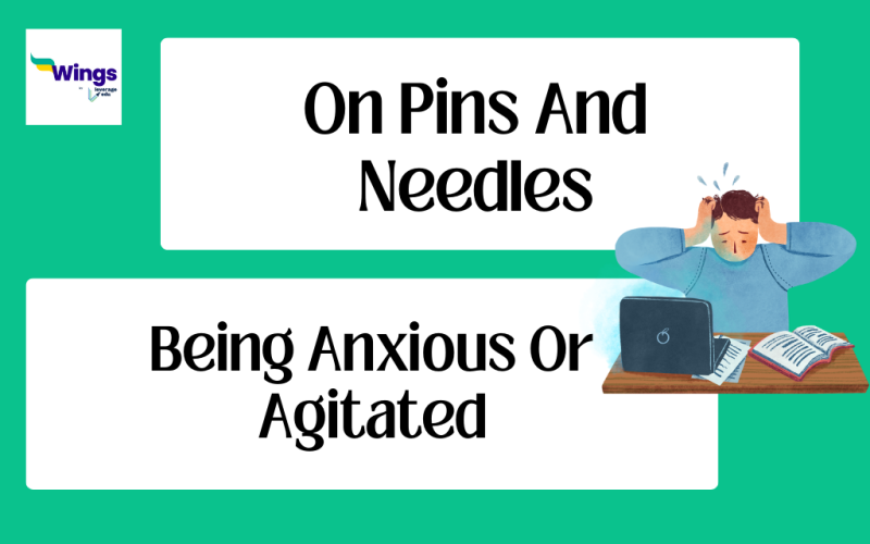 On Pins and Needles Idiom Meaning, Examples, Synonyms, and Quiz