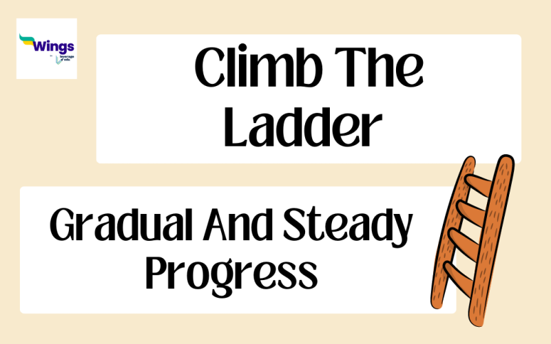 Climb the Ladder Idiom Meaning, Examples, Synonyms, and Quiz