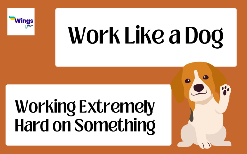 Work Like a Dog