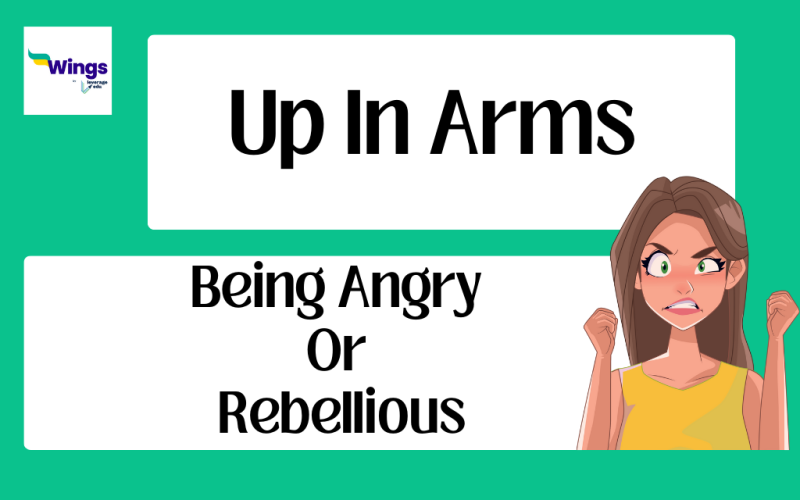 Up in Arms Idiom Meaning, Examples, Synonyms, and Quiz