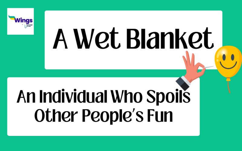 A Wet Blanket Idiom Meaning, Examples, Synonyms, and Quiz