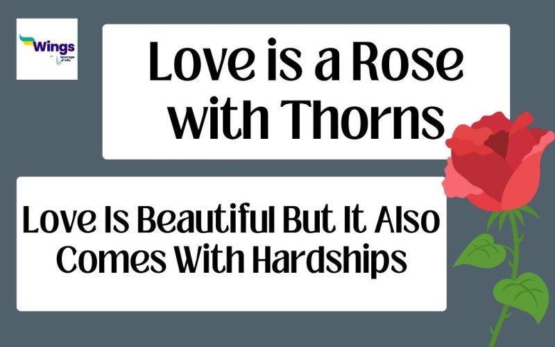 love is a rose with thorns