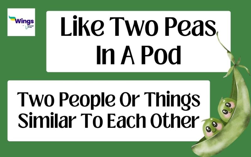 like two peas in a pod idiom meaning