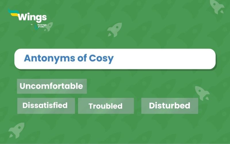 Antonyms-of-Cosy