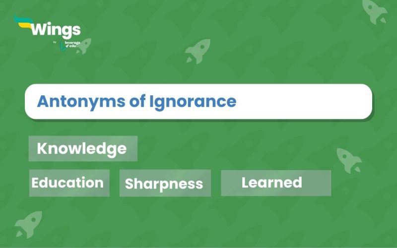 Antonyms-of-Ignorance