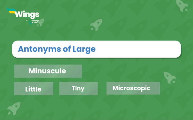 Antonyms of Large