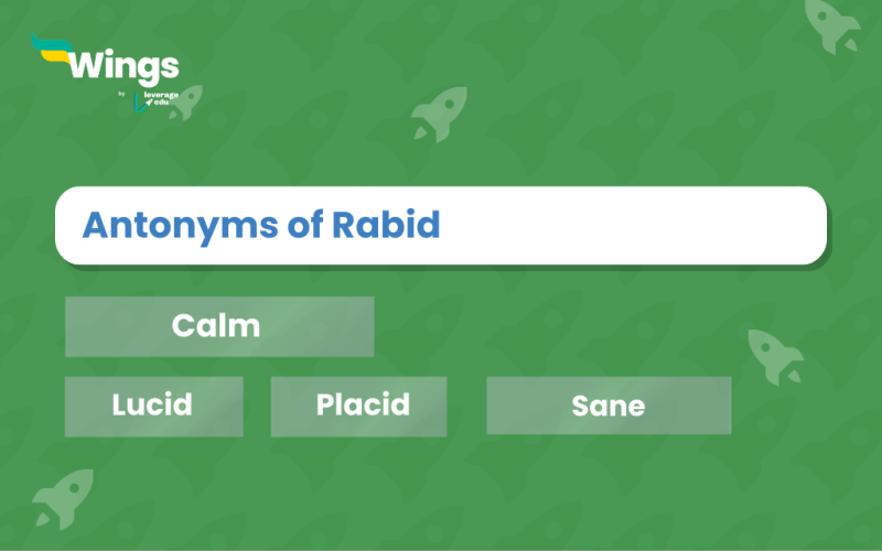 Antonyms of Rabid