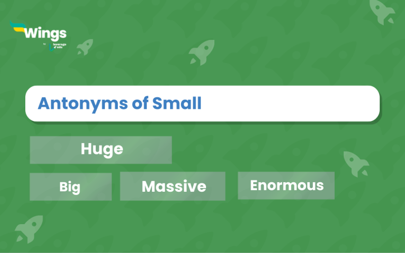 Antonyms of Small