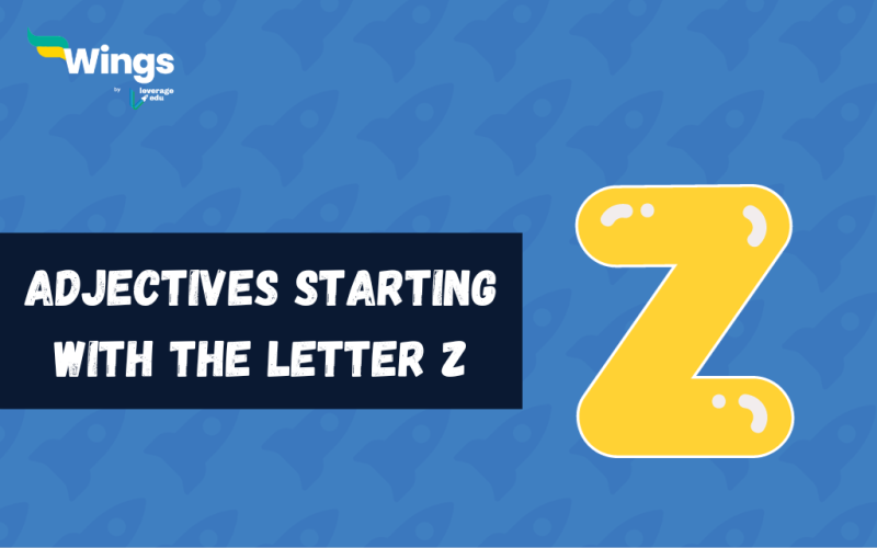 adjectives that start with Z