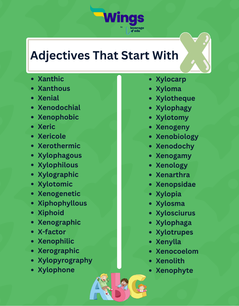 35 Positive Words That Start With X — From Xanadu To Xystus