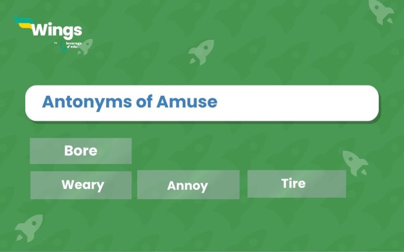 Amuse-Antonyms