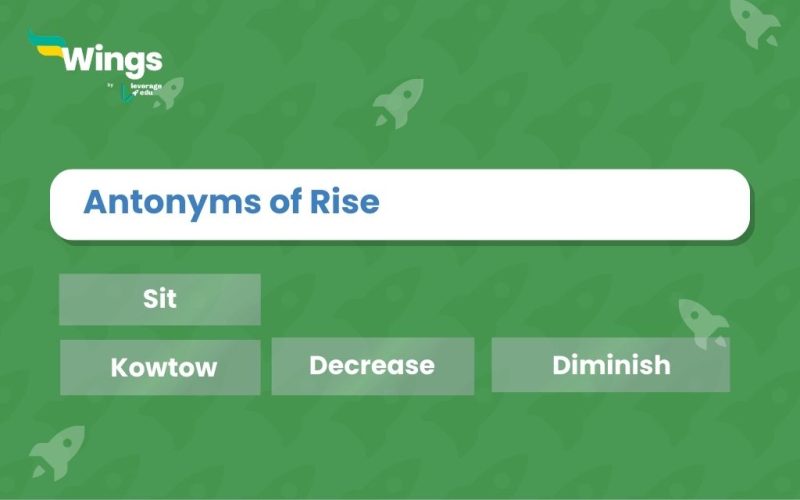 Antonyms-of-Rise