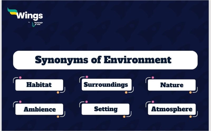 Environment-Synonyms