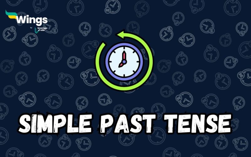 simple past tense examples