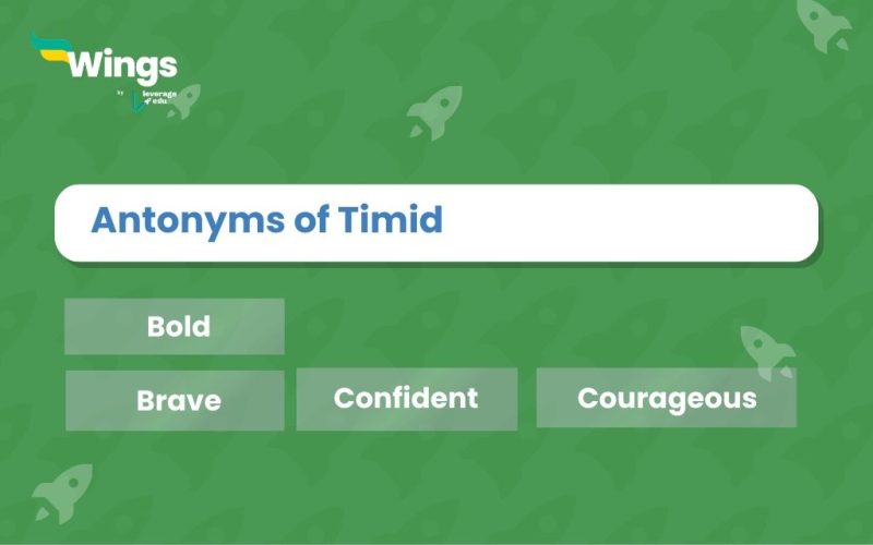Timid-Antonyms