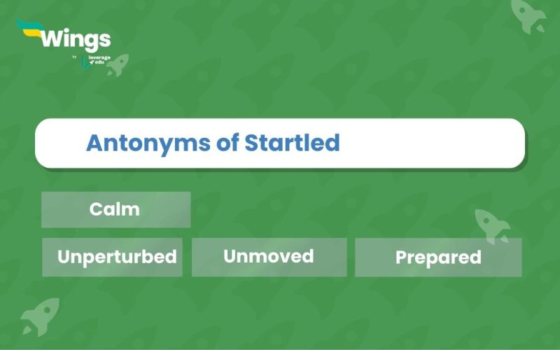 Antonyms-of-Startled