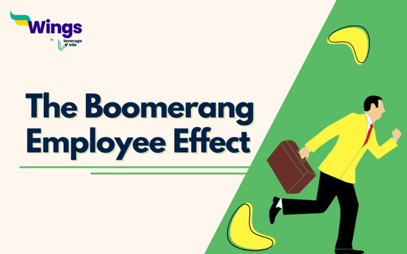 Boomerang employee