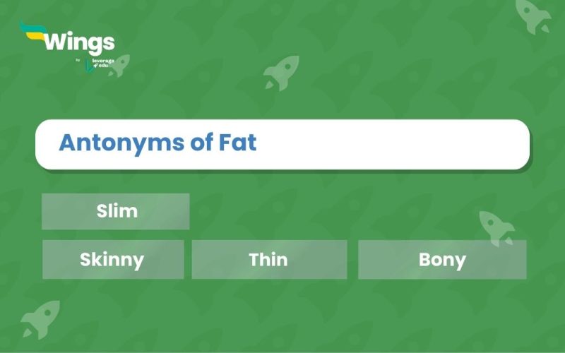 Fat-Antonyms