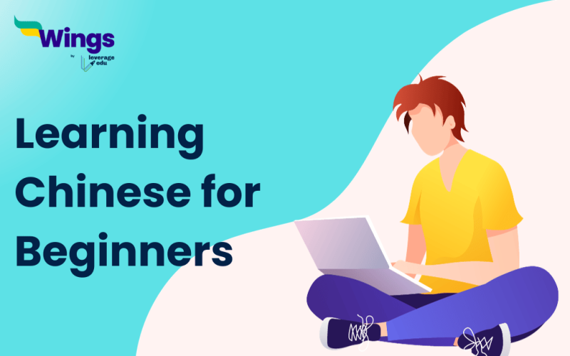 Learning chinese for beginners
