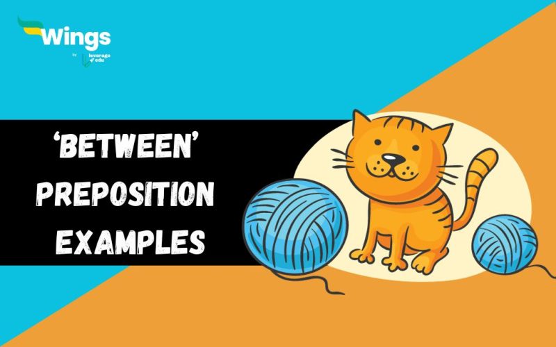 Between-Preposition-Examples
