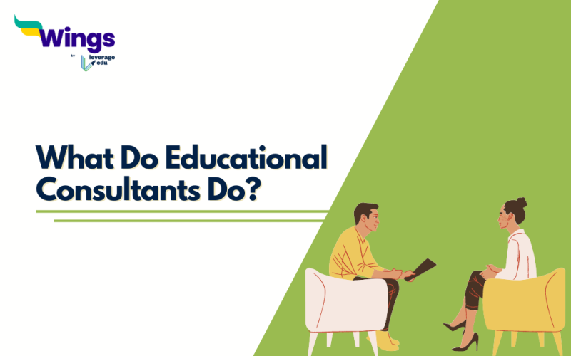 What do educational consultants do?