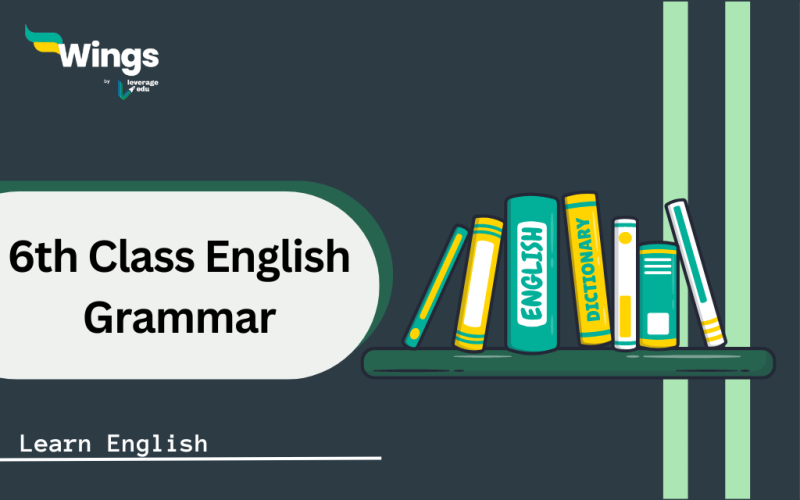 english grammar sample paper for class 6