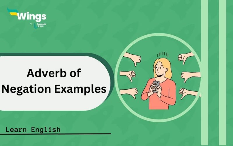 Adverb-of-Negation-Examples