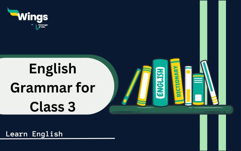 english grammar assignment for class 3
