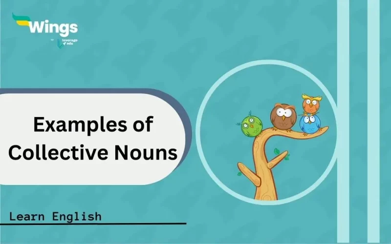 Examples-of-Collective-Nouns-