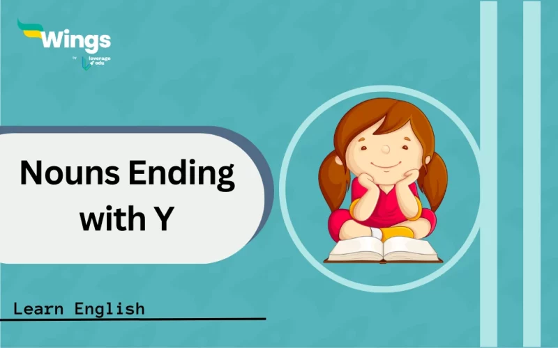 Nouns-Ending-with-Y-