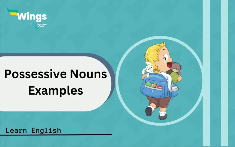 possessive nouns examples