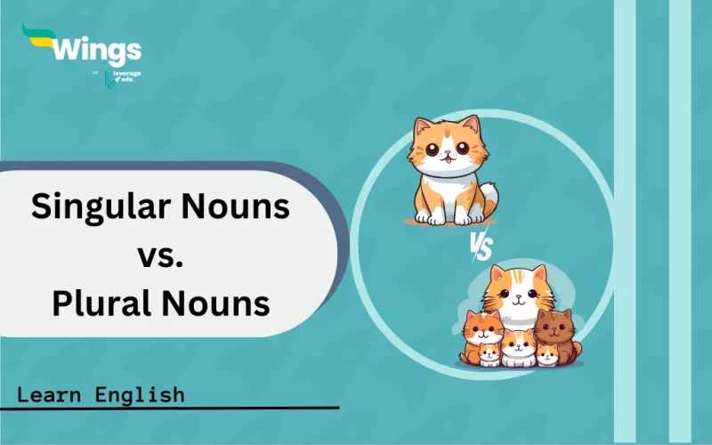 Singular Nouns vs. Plural Nouns