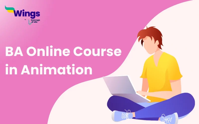 ba online course in Animation