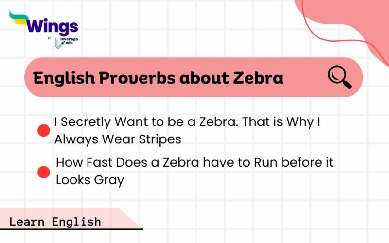 English-Proverbs-about-Zebra