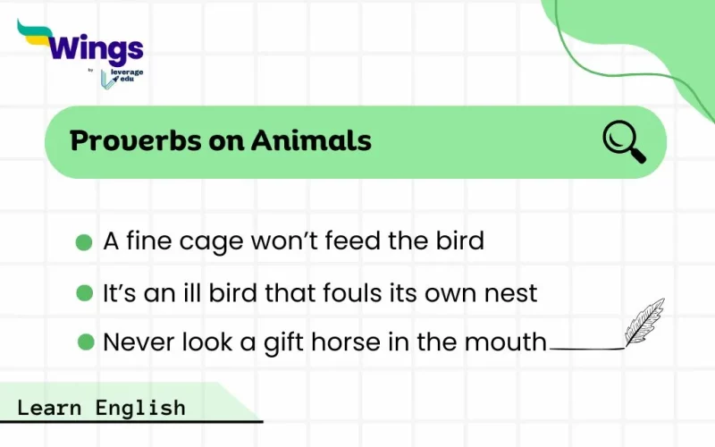 proverbs on animals