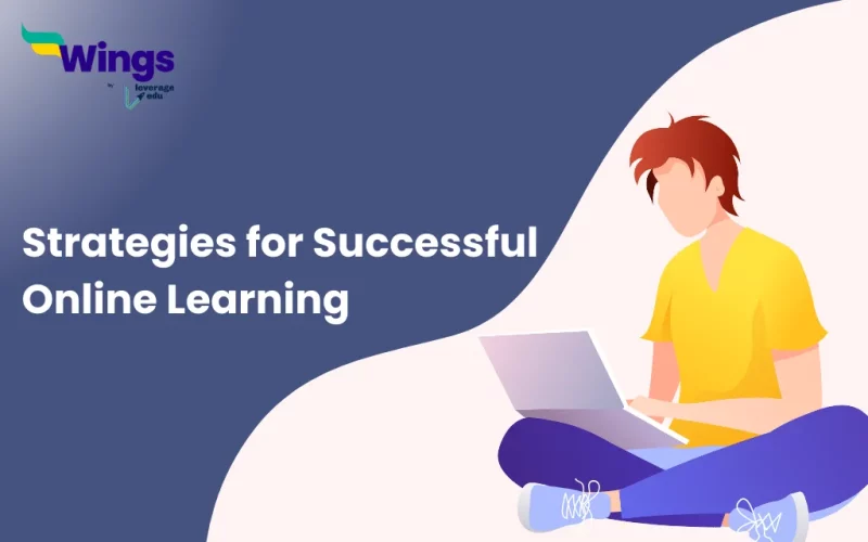 strategies for successful online learning