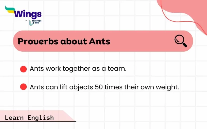 Proverbs about Ants