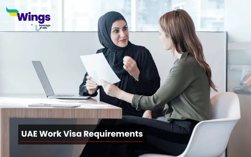 UAE work visa requirements