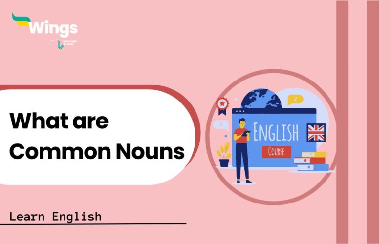 What-are-Common-Nouns