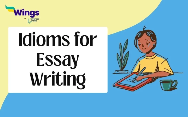 Idioms for essay writing