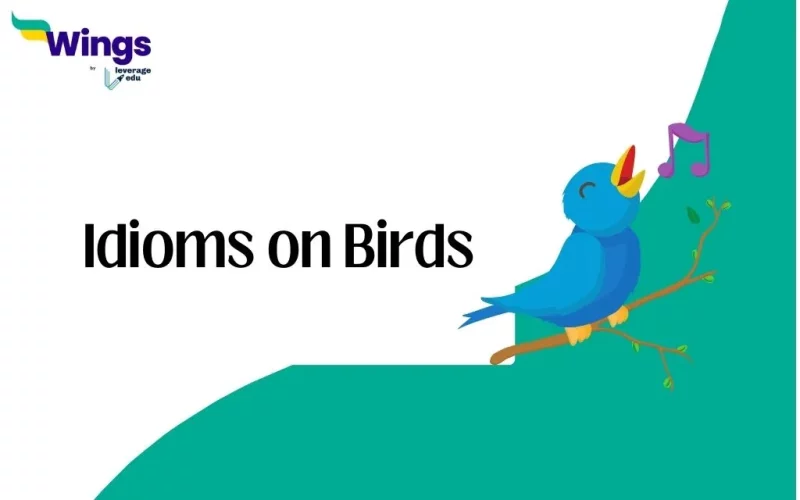 Idioms on Birds