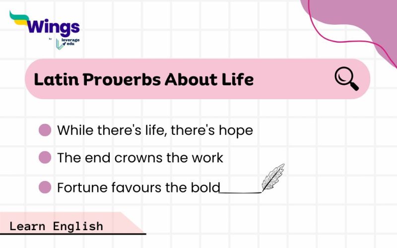 Latin-Proverbs-About-Life