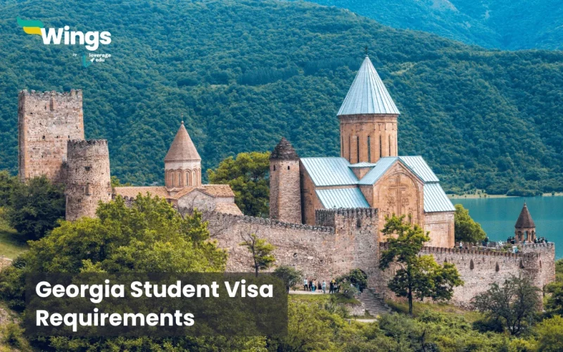 georgia student visa requirements