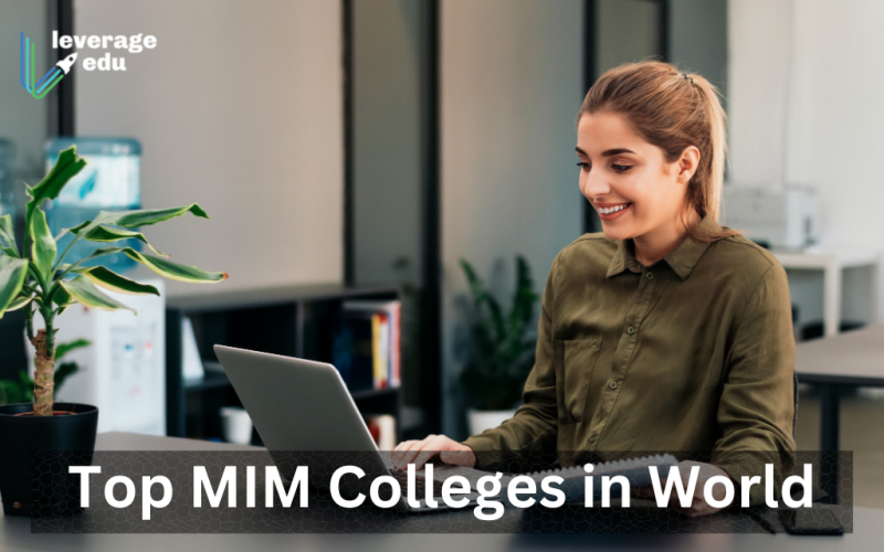 Top MIM Colleges in World