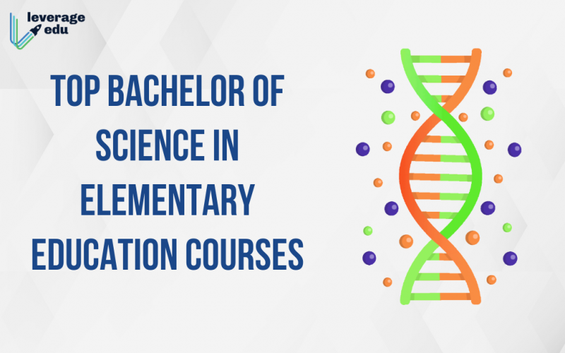 top bachelor of science in elementary education Courses